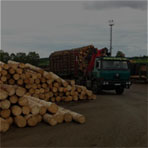 NÁKUP/PRODEJ DŘEVA NÁKUP/PRODEJ DŘEVA