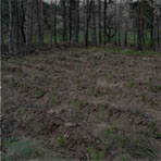 SPRÁVA LESA SPRÁVA LESA