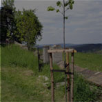 PORADENSKÁ ČINNOST PORADENSKÁ ČINNOST